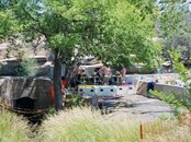 D-D1-SantaRosa-13.jpg