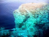 dive1.jpg