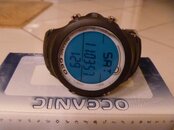 P1000237.jpg