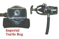 turtle.jpg