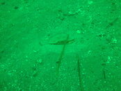 DSC04726.JPG
