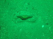 DSC04732.JPG