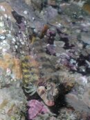 PICT0033.jpg