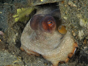 FL_BHB_6468 copy.jpg