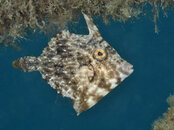 FL_BHB_6891 copy.jpg