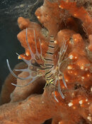 FL_BHB_6873 copy.jpg