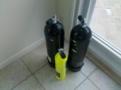IMG_20110224_171404.jpg