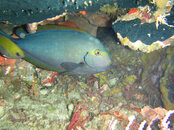 IMG_1950.JPG
