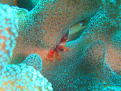 IMG_1961.JPG
