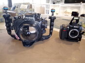 IMG20190430134930.jpg