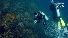 2-Amazing-videos.gif