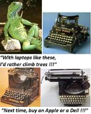 IGUANA LAPTOPS HISTORICAL.jpg