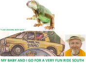 RENSHAW TIJUANA TAXI IGUANA RIDE SOUTH.jpg