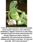 IGUANA TRAVELS.jpg