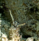 IMG_9594.jpg