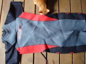 DSC01617.jpg