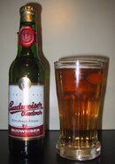 budweiser_budvar_and_glass.jpg