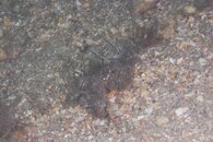 IMG_6198wa.jpg