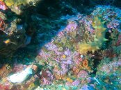 IMG-20190615-WA0013.jpg