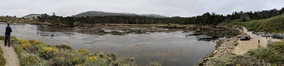 PANO_20190615_081801.jpg