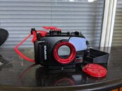 IMG_20190616_172303.jpg