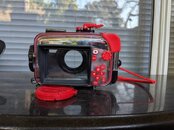 IMG_20190616_172343.jpg