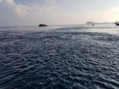 20190410_071611upload.jpg