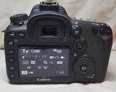Canon7D2-3-20190729_213908-brandon_cole_800pixels.jpg