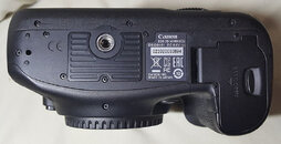 Canon7D2-4-20190729_214028-brandon_cole_800pixels.jpg