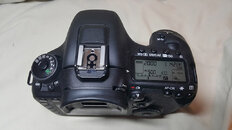 Canon7D2-7-20190729_213942-brandon_cole_800pixels.jpg