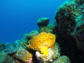 GOPR2279.JPG GOPR2279.JPG