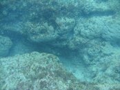 PICT0118.jpg