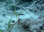 IMG_2853.jpg