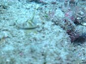 IMG_2854.jpg