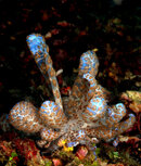 DSC_0120н1.jpg