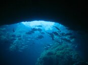 IMG_0004_8.jpg