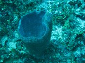 IMG_0015_9.jpg