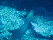 IMG_0028_5.jpg