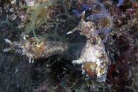 IMG_7613wa.jpg