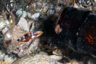 IMG_6220wa.jpg