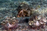 IMG_6638wa.jpg