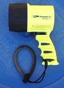 PRNC.LED.jpg