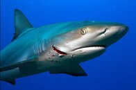 IMG_0522.jpg
