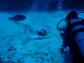 March 2011 Coz trip 056.jpg