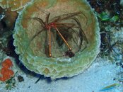 March 2011 Coz trip 073.jpg