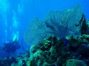 March 2011 Coz trip 089.jpg