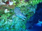 March 2011 Coz trip 107.jpg
