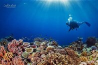 Conflict Islands post.jpg Conflict Islands post.jpg