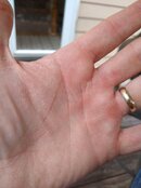 IMG_20190825_190931806.jpg
