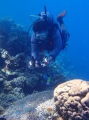 JIM DIVING PLATFORM.jpg